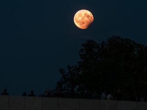 Jadwal Gerhana Bulan 2021, Besok Ada Gerhana Bulan Sebagian!