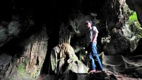 Data Kesatuan Pengelolaan Hutan Produksi (KPHP) Limau Unit VII Hulu Sarolangun menyebutkan kawasan Lanskap Bukit Bulan yang berada di enam desa memiliki 200 lebih gua.