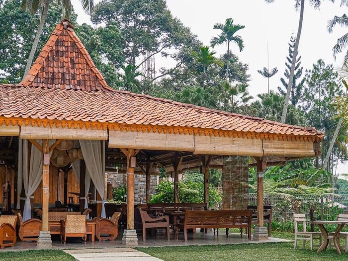 Ngopi di Sawah
