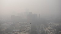 Seperti dilansir AFP, Rabu (17/11/2021), New Delhi yang merupakan salah satu kota paling tercemar di dunia dan dihuni sekitar 20 juta orang, diselimuti kabut asap yang tebal setiap musim dingin. AP/Altaf Qadri  