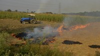 Salah satu penyumbang polusi udara pada musim dingin adalah asap dari aktivitas para petani membakar sisa panen mereka di wilayah tetangga. Namun pemerintah setempat menyatakan kepada Mahkamah Agung bahwa industri menjadi penyumbang polusi terbesar diikuti oleh populasi kendaraan dan debu. AP/Prabhjot Gill  
