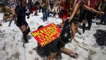 Pesta Mandi Busa Semarakkan Kelulusan Pelajar Argentina