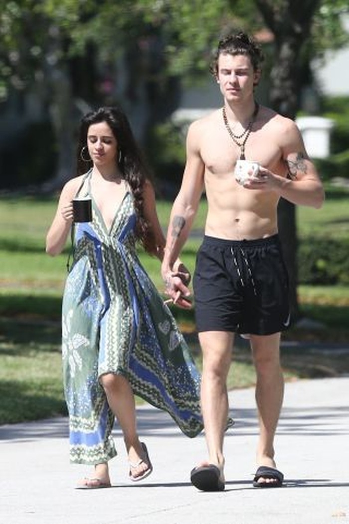 Shawn Mendes dan Camila Cabello Shawn Mendes dan Camila Cabello