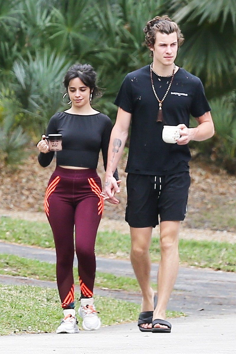 Shawn Mendes dan Camila Cabello