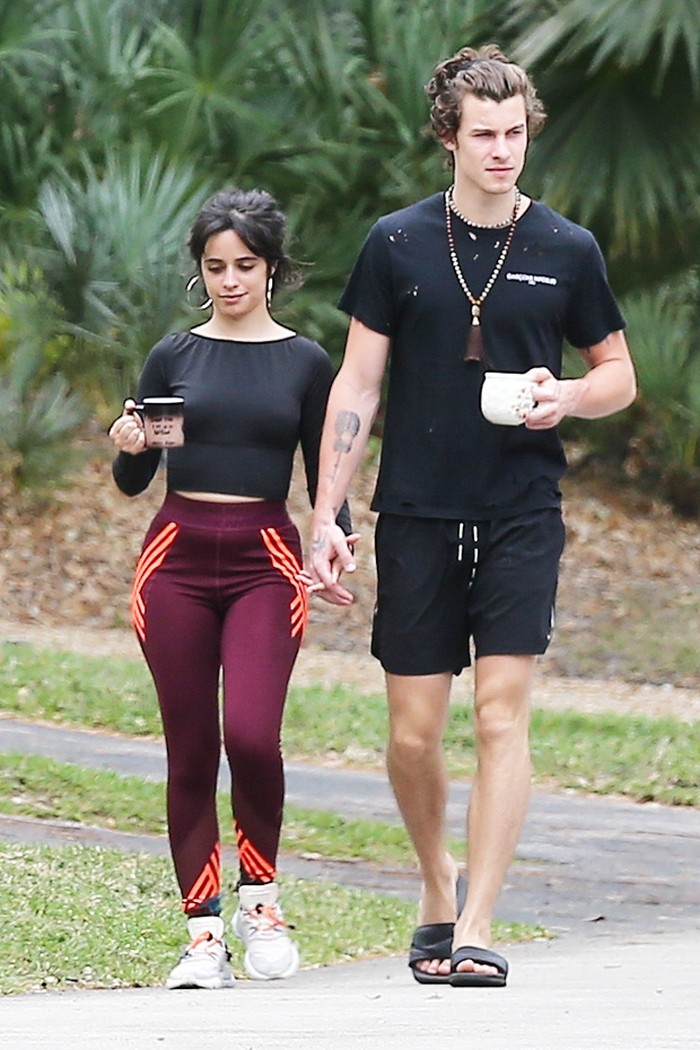 Shawn Mendes dan Camila Cabello Shawn Mendes dan Camila Cabello