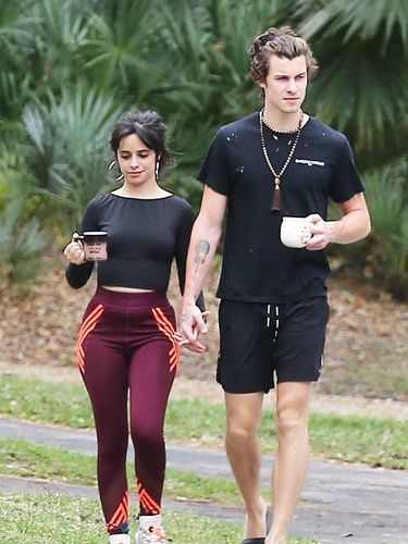 Shawn Mendes dan Camila Cabello