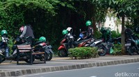 Kebanyakan pemotor yang parkir di atas trotoar Kemang adalah driver ojek online (ojol).