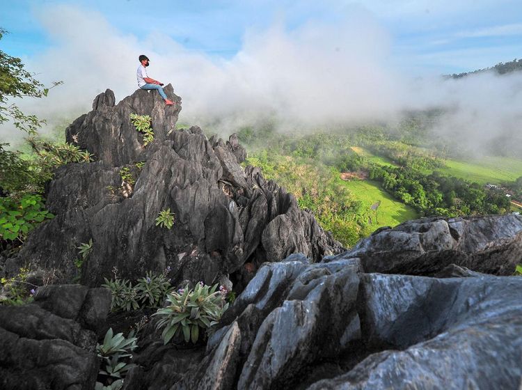 Pesona Bukit Tamulun Jambi Terancam Tambang Emas Ilegal