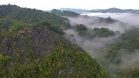 Karst Bukit Tamulun yang berada di hutan adat Tamulun Indah di bagian hulu Sungai Batang Limun merupakan salah satu wisata alam potensial.