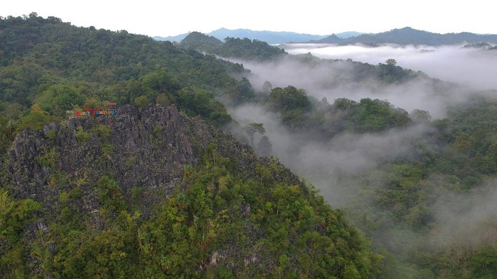 Foto udara kawasan wisata karst Bukit Tamulun, Desa Berkun, Limun, Sarolangun, Jambi, Rabu (17/11/2021). Karst Bukit Tamulun yang berada di hutan adat Tamulun Indah di bagian hulu Sungai Batang Limun merupakan salah satu wisata alam potensial namun tengah menghadapi ancaman perluasan aktivitas penambangan emas tanpa izin di bagian hilirnya. ANTARA FOTO/Wahdi Septiawan/wsj.