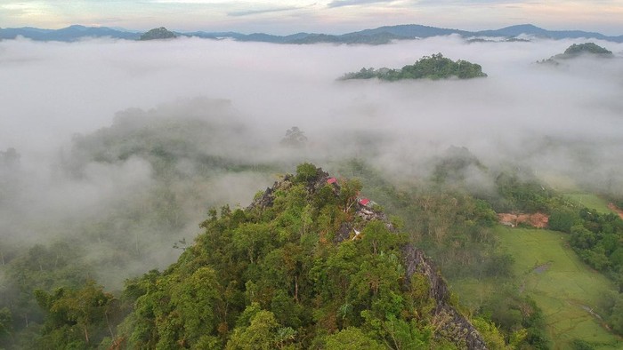 Foto udara kawasan wisata karst Bukit Tamulun, Desa Berkun, Limun, Sarolangun, Jambi, Rabu (17/11/2021). Karst Bukit Tamulun yang berada di hutan adat Tamulun Indah di bagian hulu Sungai Batang Limun merupakan salah satu wisata alam potensial namun tengah menghadapi ancaman perluasan aktivitas penambangan emas tanpa izin di bagian hilirnya. ANTARA FOTO/Wahdi Septiawan/wsj.