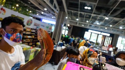 Deretan Hewan Eksotis Ini Dipamerkan, Ada yang Bernilai Ratusan Juta Rupiah