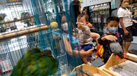 Pengunjung melihat hewan eksotis yang dipamerkan dalam Exotic Pet Garden di Living World Serpong, Tangerang Selatan, Banten, Jumat (19/11/2021).