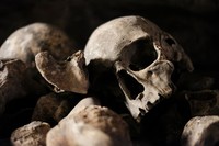 Fakta mencengangkan jarang diketahui