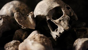 Umumnya, dibutuhkan waktu sekitar satu tahun bagi tubuh untuk terurai menjadi kerangka di tanah biasa dan delapan hingga dua belas tahun untuk menguraikan kerangka. Dan jika mayat berada di dalam peti mati dan dikubur jauh di bawah tanah, bahkan bisa memakan waktu 50 tahun untuk menguraikan semua jaringan di tubuh. Foto: Reddit via Bored Panda