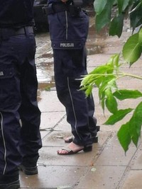 Foto viral Polandia