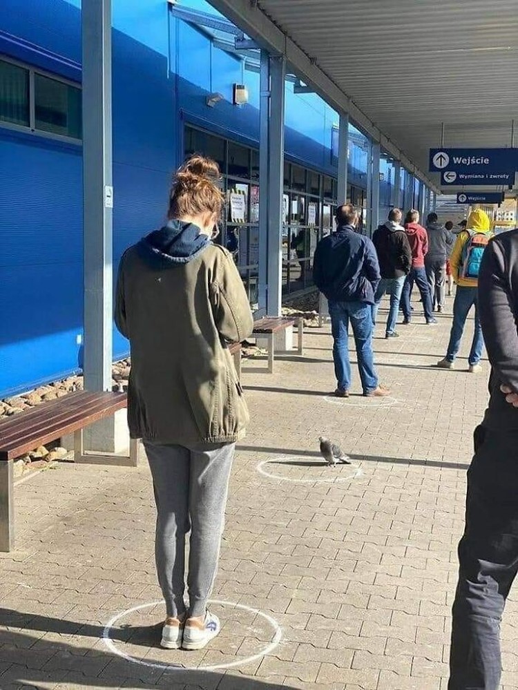 Foto viral Polandia