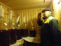 Foto viral Polandia