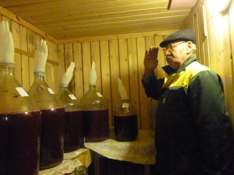 Foto viral Polandia