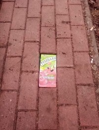 Foto viral Polandia