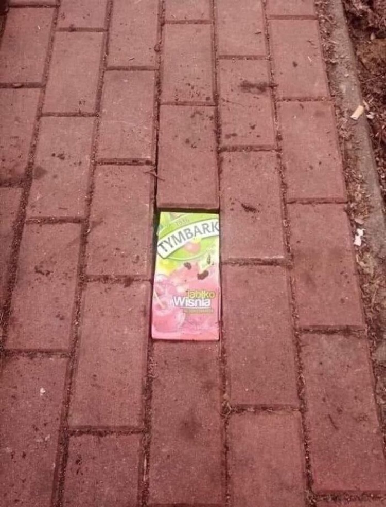 Foto viral Polandia