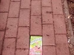 Foto Viral yang Susah Dijelaskan, Bikin Garuk-garuk Kepala