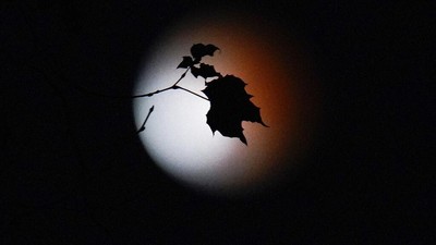 Penampakan Gerhana Bulan Sebagian, Sungguh Menawan