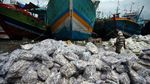 Tangkapan Melimpah Harga Ikan di Nelayan Turun