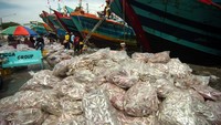 Seperti harga ikan kuniran turun dari Rp 5 ribu menjadi Rp 3 ribu per kilogram dan ikan coklatan dari Rp 6 ribu menjadi Rp 4 ribu per kilogram.