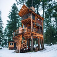 Bila biasanya rumah pohon hanya sebagai tempat bermain untuk anak-anak, kenapa tidak jadikan untuk hunian utama. (Foto: Unsplash.com/Roberto Nickson)