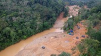 Foto udara memperlihatkan keindahan Lanskap Bukit Bulan terusik dengan kehadiran pertambangan emas ilegal di Desa Lubuk Bedorong, Limun, Sarolangun, Jambi, Kamis (18/11/2021).