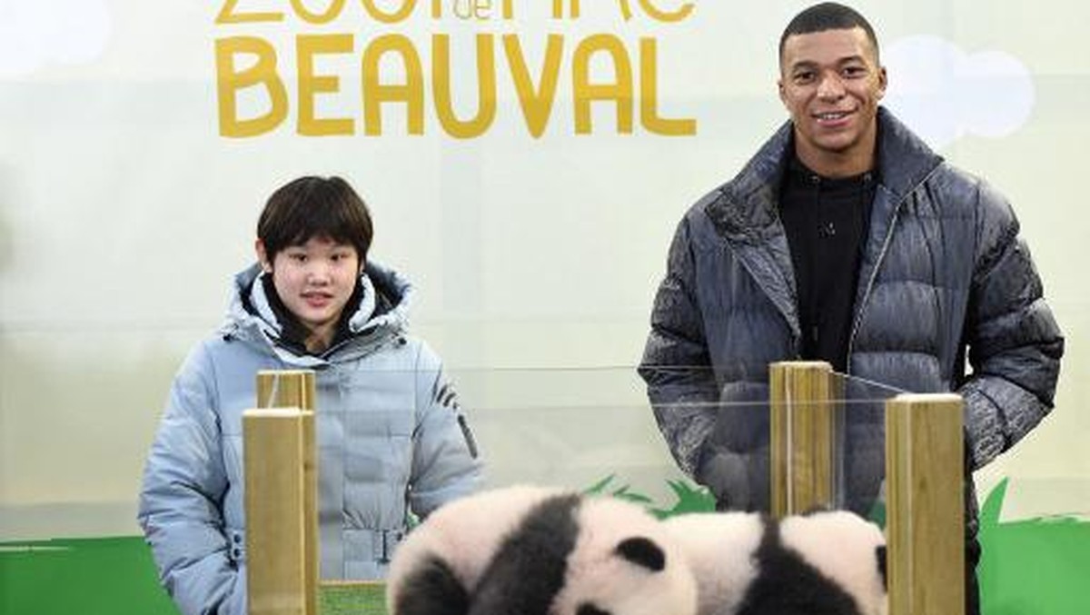 Kylian Mbappe (kanan) jadi bapak baptis bayi panda di Prancis. (Foto: AFP/GUILLAUME SOUVANT)