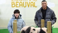 Mbappe bersama juara loncat indah asal China, Zhang Jiaqi, menghadiri perayaan pembaptisan dua bayi panda di Kebun Binatang Beauval, Saint-Aignan, Prancis. Mereka menjadi wali baptis dua hewan langka yang baru berusia tiga bulan tersebut.