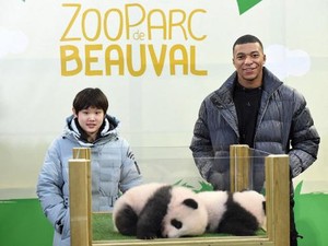 Kylian Mbappe Jadi Bapak Baptis... Bayi Panda!