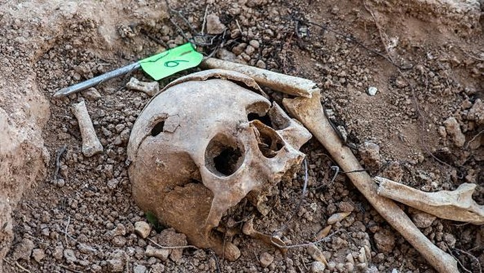 Kuburan massal korban Perang Saudara Spanyol ditemukan di kawasan Belchite. Dalam proses penggalian, ilmuwan menemukan sejumlah tulang belulang di sana.