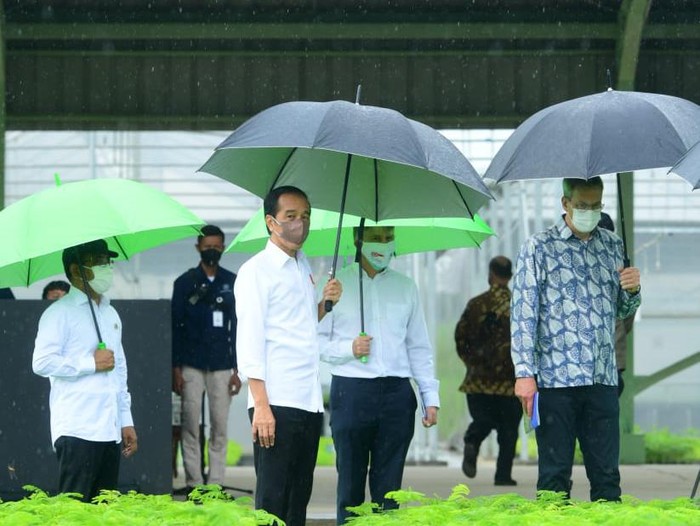 Presiden Jokowi Bersama Para Dubes Negara Sahabat