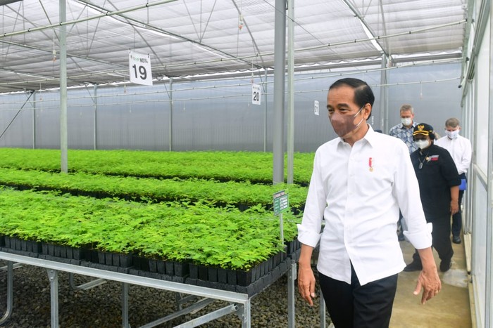 Presiden Jokowi Bersama Para Dubes Negara Sahabat Presiden Jokowi Bersama Para Dubes Negara Sahabat