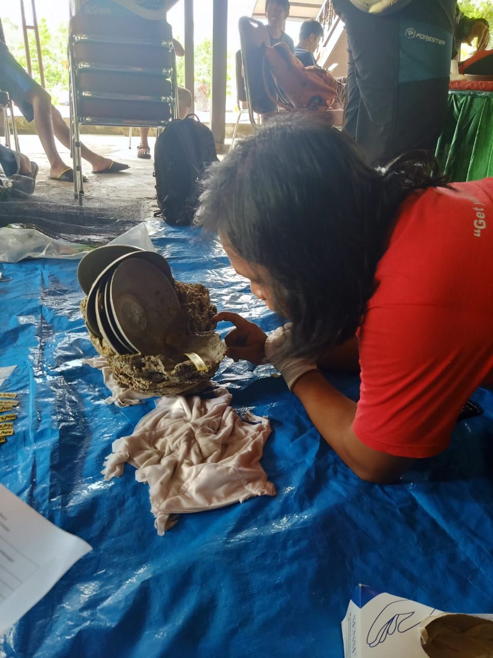 Ratusan keramik dan koin yang diduga berasal dari Dinasti Song diangkat dari perairan Pulau Selayar, Sulawesi Selatan (Sulsel) (dok Balai Pelestarian Cagar Budaya Sulsel)