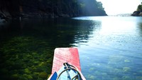 Adapun yang membuat takjub adalah kita bisa melihat dengan jelas dasar dan bebatuan sungai yang dilewati sampan. Mungkin tidak ada yang mengira jika sampan ini melaju di salah satu sungai di india.