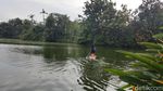 Bisa Lho, Main Paddle Board Seperti Bu Susi di Tangsel