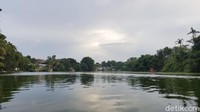 Salah satu atraksi menarik di sini adalah keliling danau dengan naik sampan.