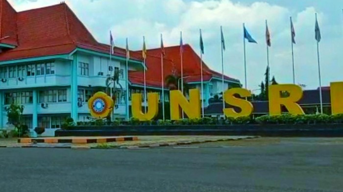 Wakil Rektor III (tiga) Bidang Kemahasiswaan dan Alumni, Iwan Stia Budi (Syahbana-detikcom)