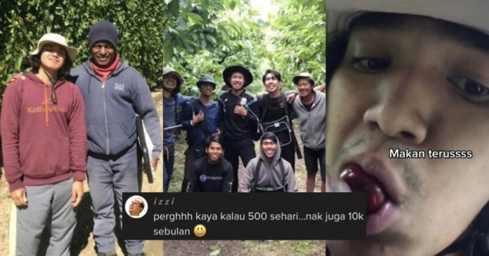 Pamer Digaji Rp 1,8 Juta Sehari, Petani Buah Ceri Ini Bikin Iri