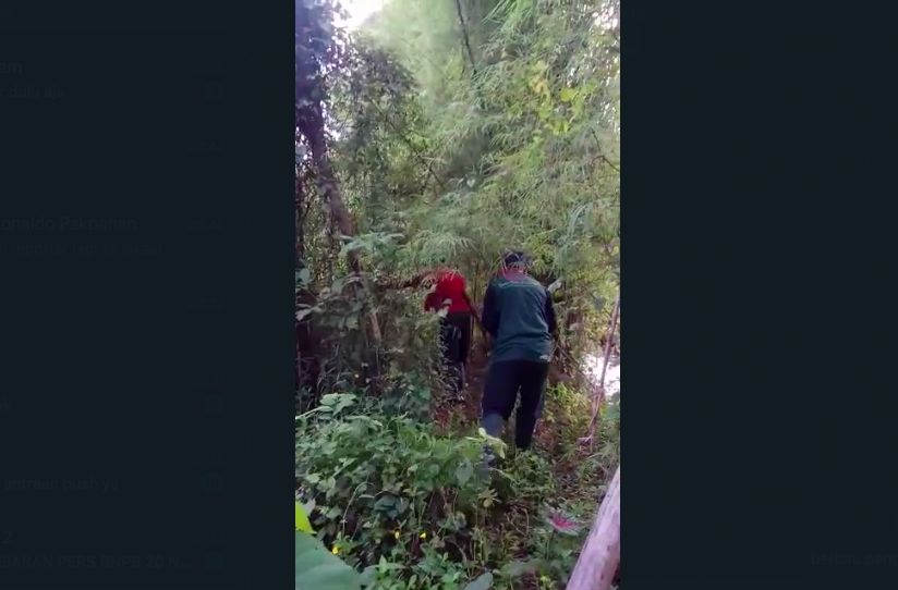 Semak-semak tempat anak hilang di temukan, di Tapos, Depok, Jawa Barat. Katanya, si anak digondol wewe gombel. Anda berhak tidak percaya.  (Dok Istimewa)