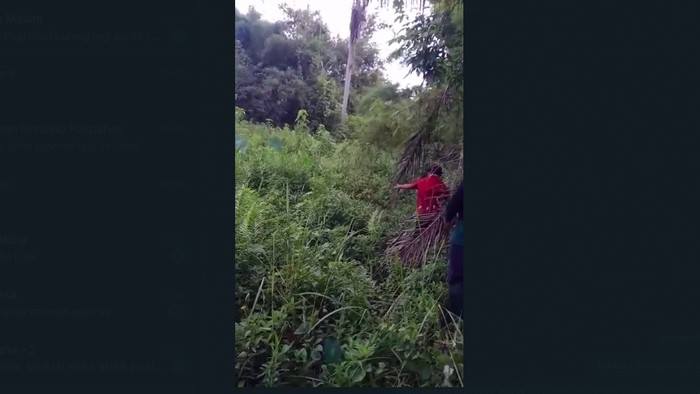 Semak-semak tempat anak hilang ditemukan di Tapos, Depok, Jawa Barat. Katanya, si anak digondol wewe gombel. Anda berhak tidak percaya. (Foto: dok. Istimewa)
