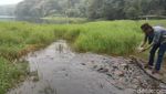 Telaga Ranjeng Berisi Ribuan Ikan Jinak, Tapi Tak Ada yang Berani Ambil