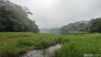 Juru kunci Telaga Ranjeng, Jamal (43) yang juga petugas keamanan kawasan hutan lindung Telaga Ranjeng menceritakan perihal keunikan telaga ini. Pada awalnya, cerita Jamal, telaga itu dihuni jenis Ikan Wader. Namun ikan jenis itu menghilang, dan berganti menjadi lele, yang uniknya ukurannya hampir sama. Sudah beberapa kali, jenis ikan yang hidup di Telaga Ranjeng berganti-ganti secara mendadak. Setelah populasi ikan lele, sejak tahun 2020 lalu berganti menjadi ikan Mas.