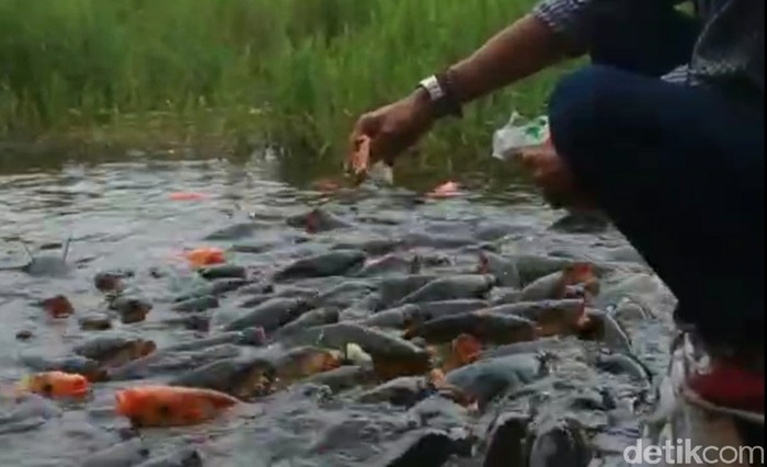 Telaga Ranjeng Telaga Ranjeng yang dipenuhi mitos