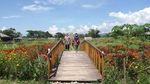Asyik! Ada Objek Wisata Baru Nih di Gorontalo