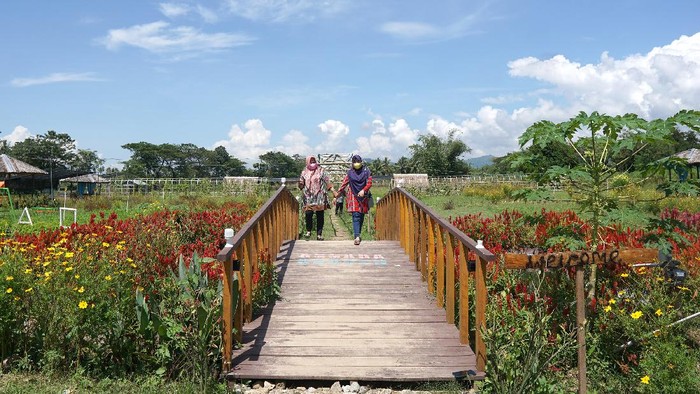 Agrowisata Asmara Garden bisa jadi destinasi wisata menarik untuk mengisi waktu di akhir pekan. Objek wisata ini ada di Kab. Bone Bolango, Gorontalo. Penasaran?